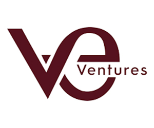 VE Ventures logosu